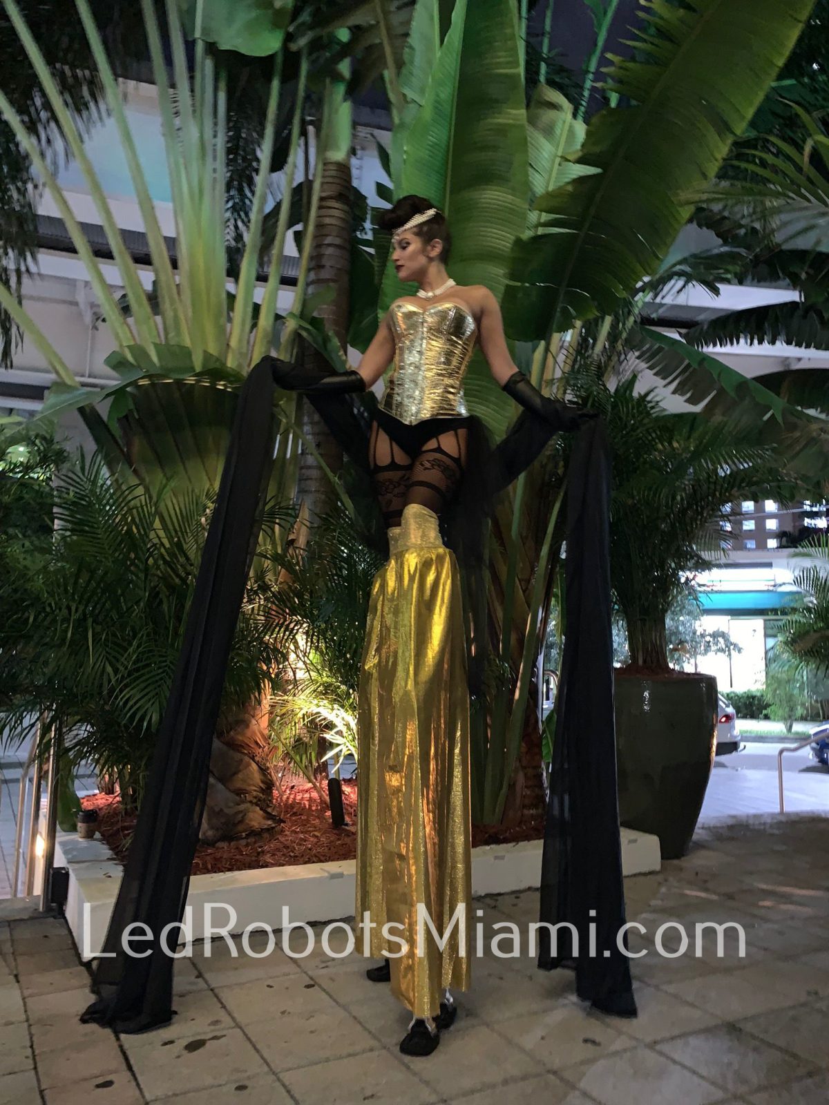 Black and Gold Stiltwalker